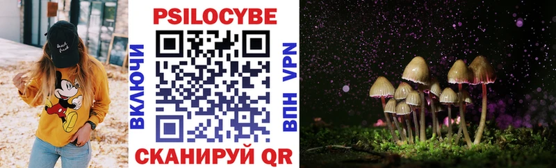 Галлюциногенные грибы ЛСД Яхрома